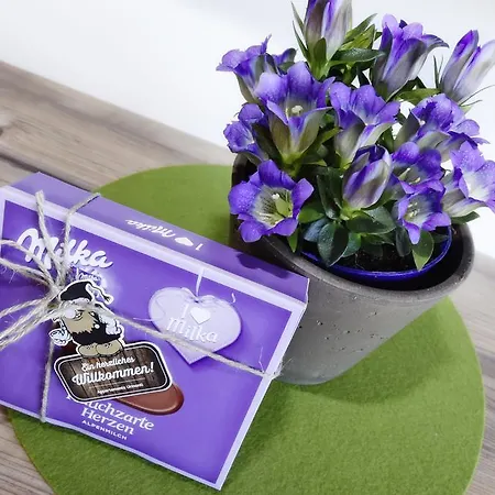 Appartments Urmonti Daire